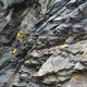 Imagen para el artículo titulado Encuentran una descomunal cueva inexplorada oculta en un valle de las montañas canadienses